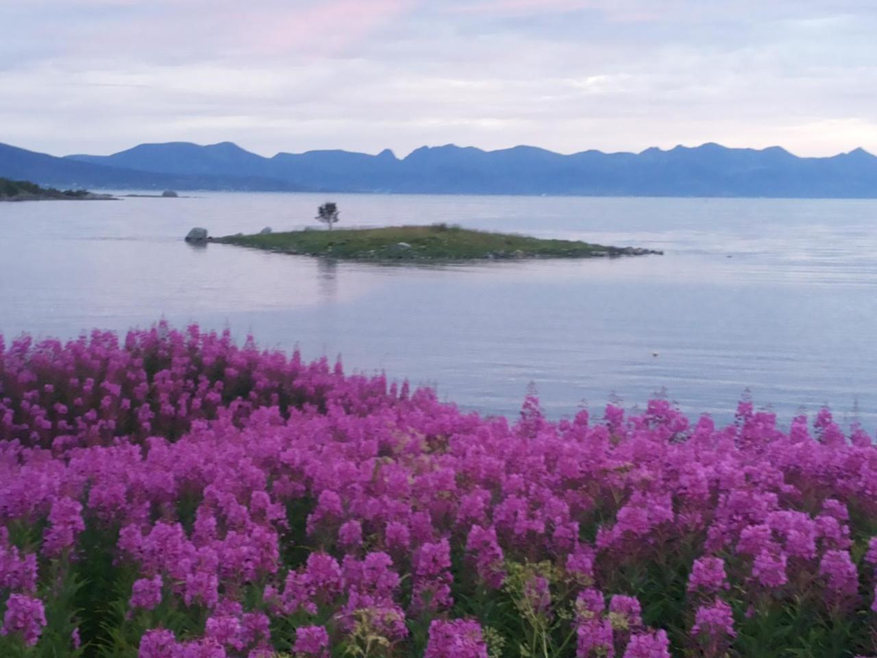 Prima Lofoten Myrland Екстериор снимка