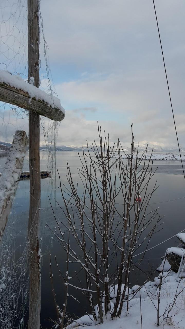Prima Lofoten Myrland Екстериор снимка